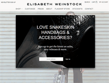 Tablet Screenshot of elisabethweinstock.com